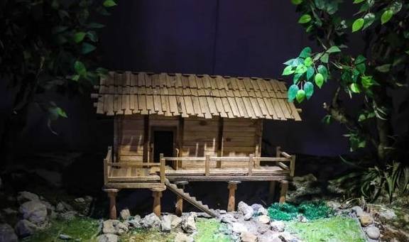 原创 登高望春，墨脱这几个地方最值得去5