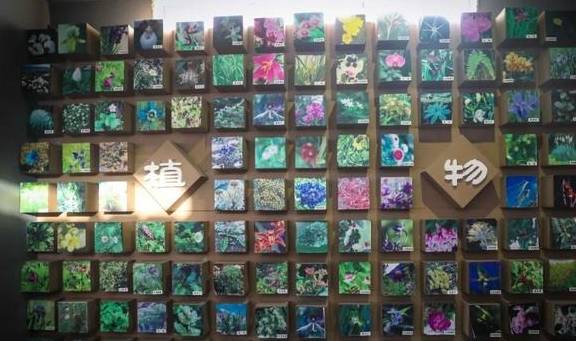 原创 登高望春，墨脱这几个地方最值得去7