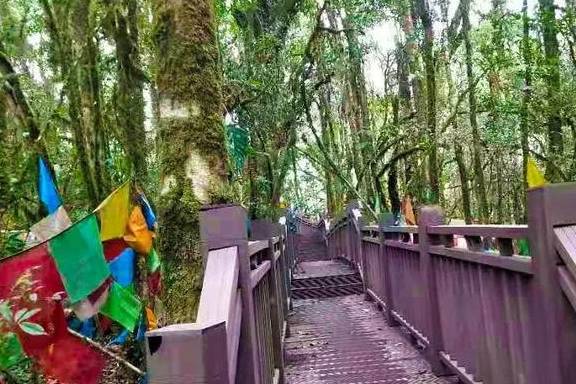 原创 登高望春，墨脱这几个地方最值得去13