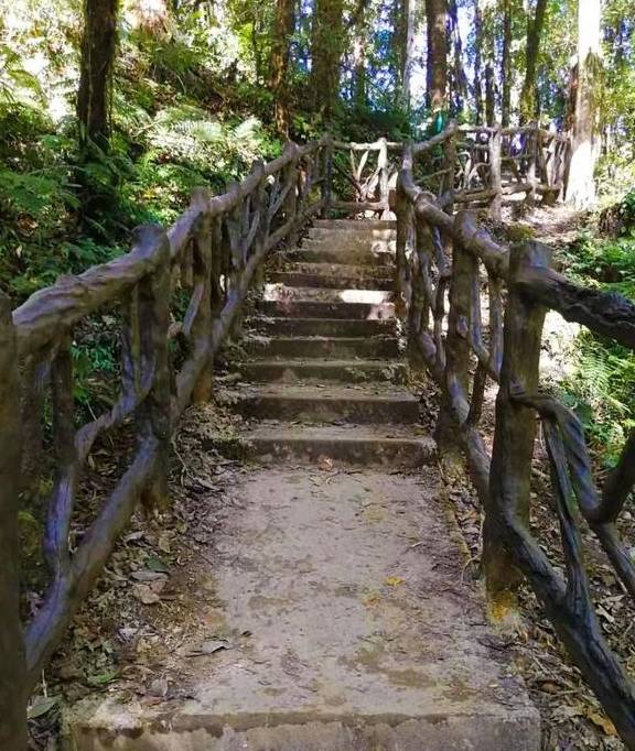 原创 登高望春，墨脱这几个地方最值得去14