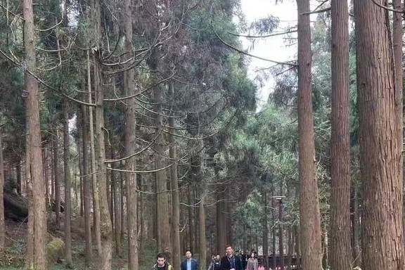 原创 投资4700万，苍南多了一个好去处！有悬索桥和5.3公里栈道2