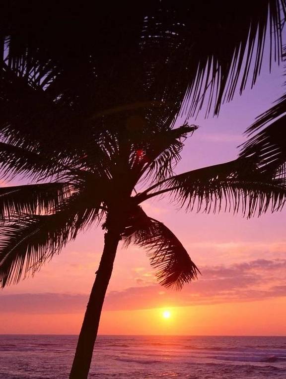 原创 30个绝美的日出日落，一张照片一座城，你去过几个？3