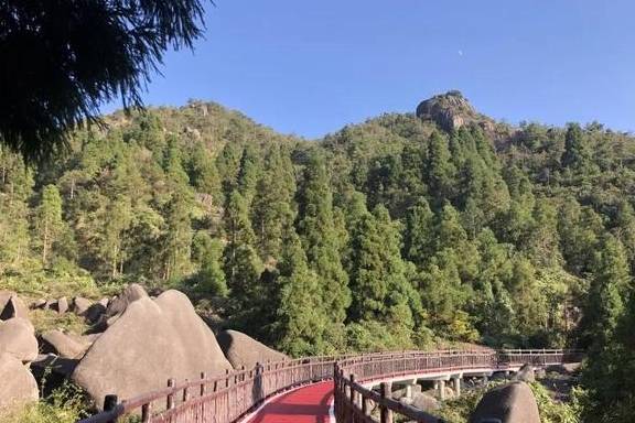 原创 投资4700万，苍南多了一个好去处！有悬索桥和5.3公里栈道5