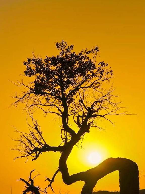 原创 30个绝美的日出日落，一张照片一座城，你去过几个？7