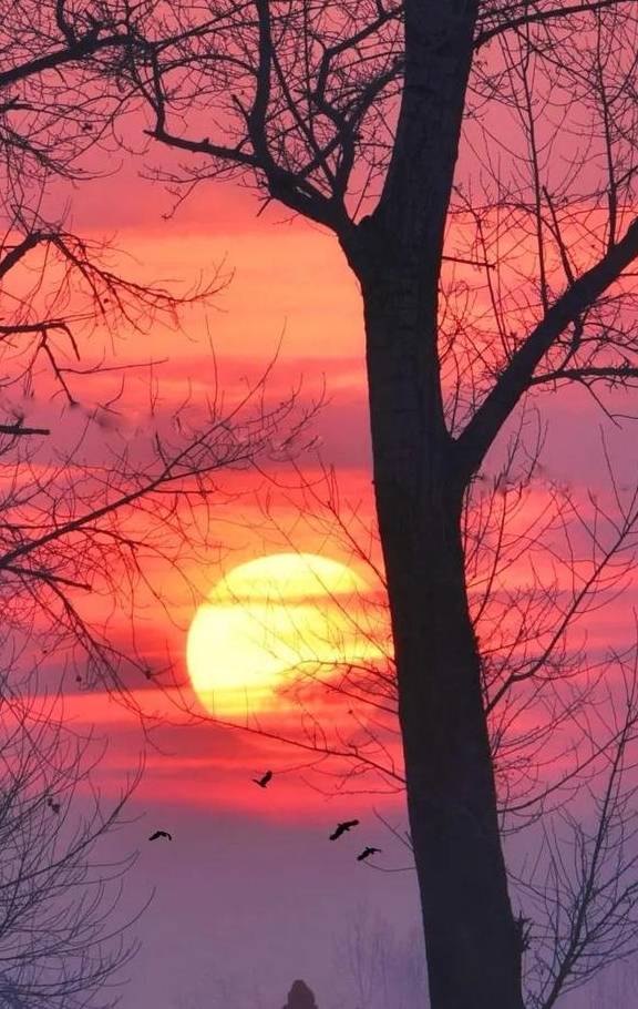 原创 30个绝美的日出日落，一张照片一座城，你去过几个？36