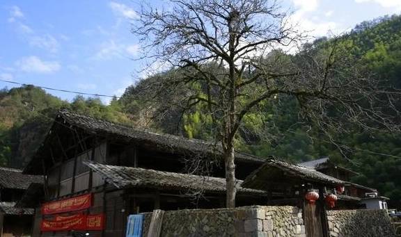 原创 红源初心 探险之旅，最美溪下行5