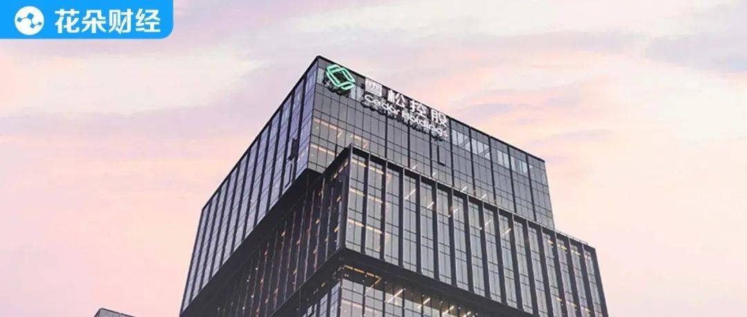 原创 世界500强企业也惊雷?雪松控股陷理财兑付危机,都困住了谁?2