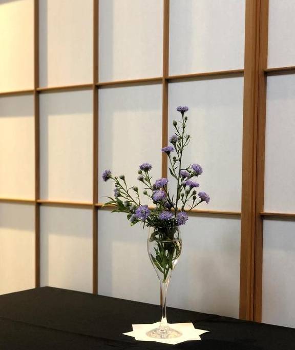 原创 东京有很多河豚店,为什么坐了三个小时新干线跑到金泽来吃河豚?2