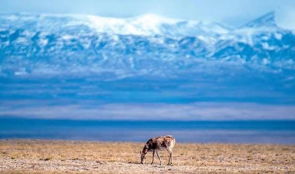 原创 国内5个最受欢迎的网红景点,去过的都说不后悔3
