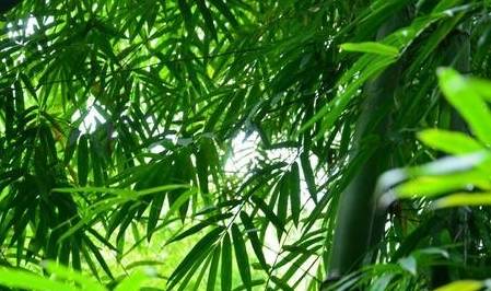 原创 国内5个最受欢迎的网红景点,去过的都说不后悔7