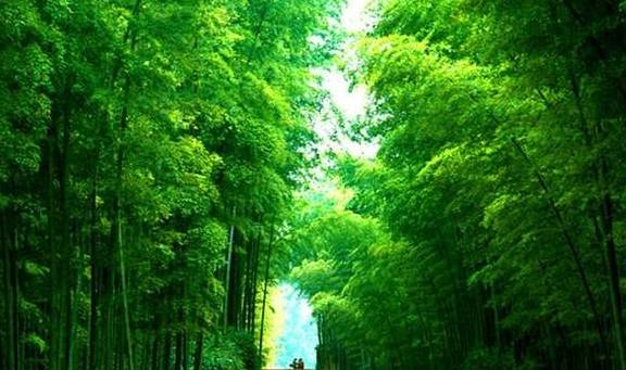 原创 国内5个最受欢迎的网红景点,去过的都说不后悔8