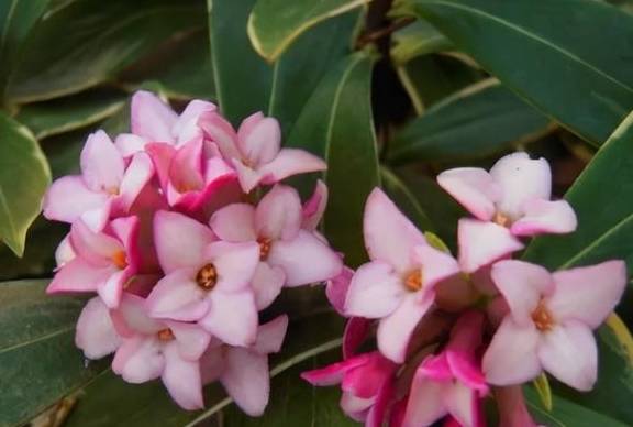 时隔一个月，“英雄联盟崩了”登热搜，官方回应12点前修复完成1