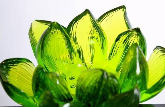 让海豚“代言”海豚皮仿生面膜惹争议,还说老板算个P,膜法世家致歉并撤广告1