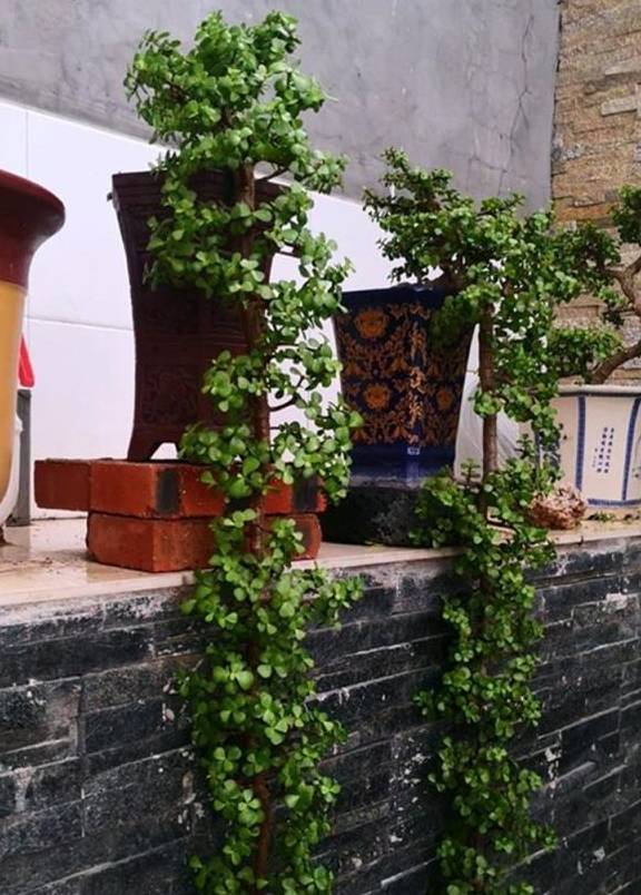 卧室有必要放电视机?别拒绝得太急,先问问家人怎么想的7