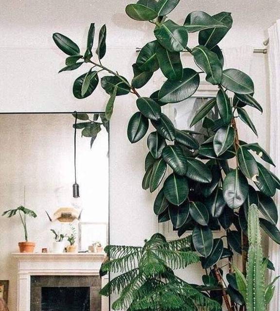 长沙美食街有哪些地方1