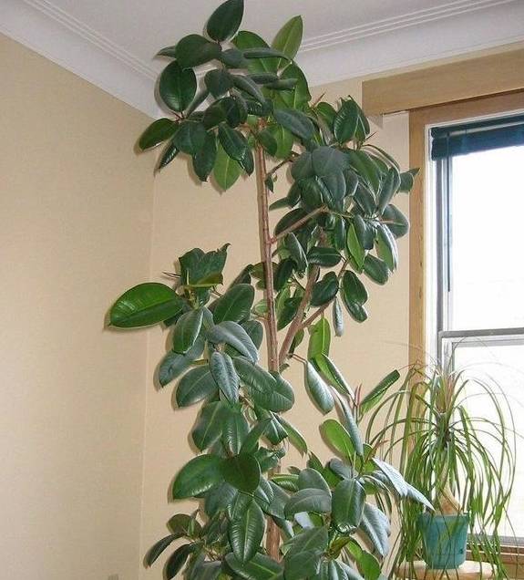 长沙美食街有哪些地方3