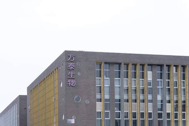 亲朋好友乔迁，就送这5种绿植，不仅寓意好，还特别有面子2