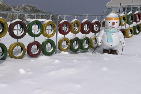 亲朋好友乔迁，就送这5种绿植，不仅寓意好，还特别有面子3