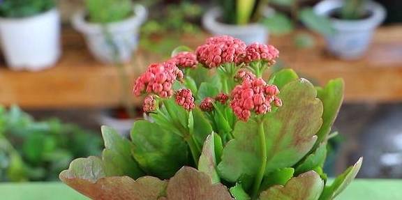 600亿汽车零部件龙头净利16.8亿增15%,汽零业务营收增95%1