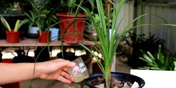 兰花喜欢这样的环境,选好品种,养护很简单2