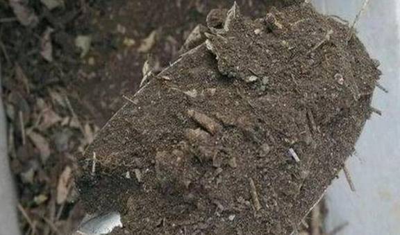 在家自制营养土,松软透气养分足,轻松养好各种花3