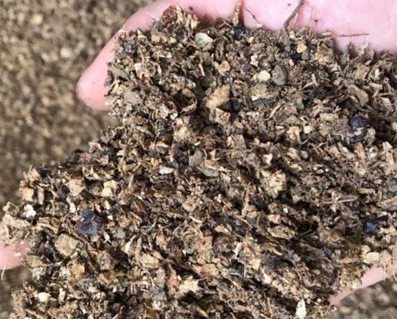 在家自制营养土,松软透气养分足,轻松养好各种花6