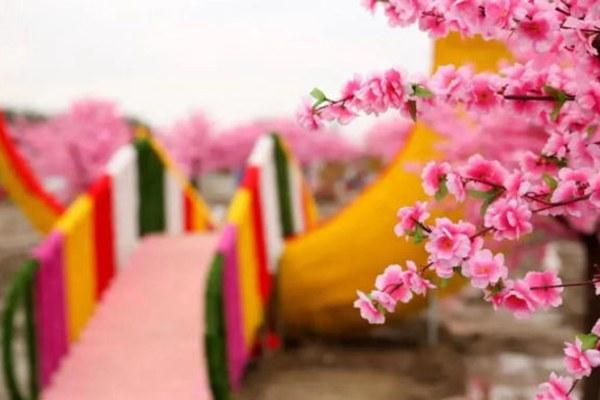 上海玉海棠景区在哪里?怎么去?2