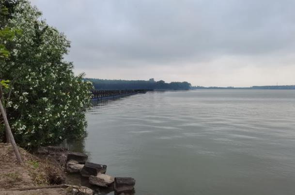 上海崇明哪里风景比较好2