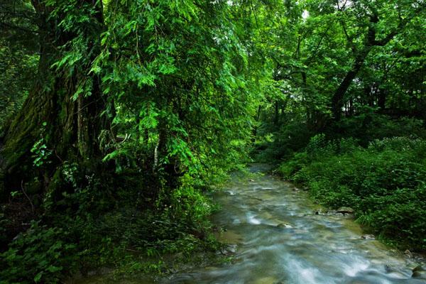 南昌附近自驾一日游必去景点1