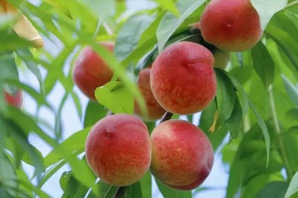 大足周边旅游攻略自驾游3