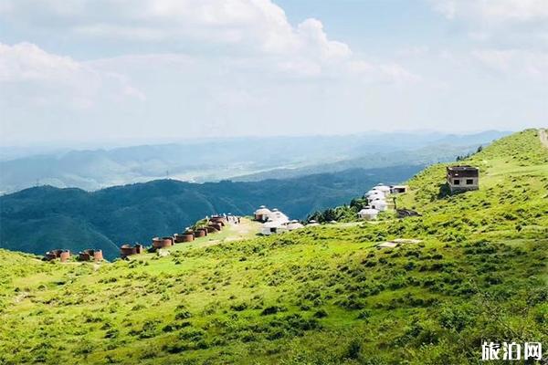 高坡云顶草原简介 高坡云顶草原门票多少2