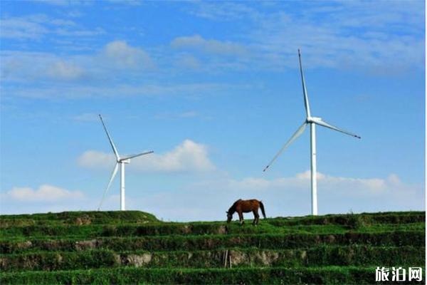 高坡云顶草原简介 高坡云顶草原门票多少3