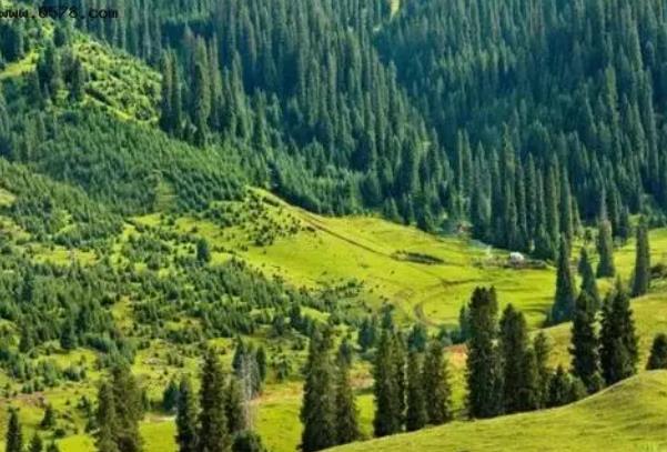 自驾独库公路路线攻略20222