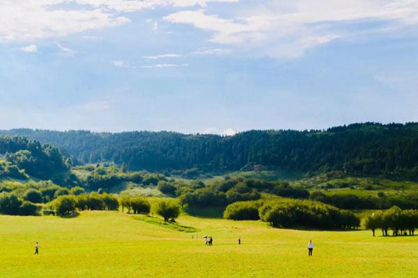 重庆仙女山游玩攻略 景点一日游攻略3