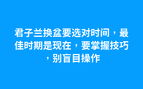 多肉植物养护,做好3个关键点,多肉爆满盆1