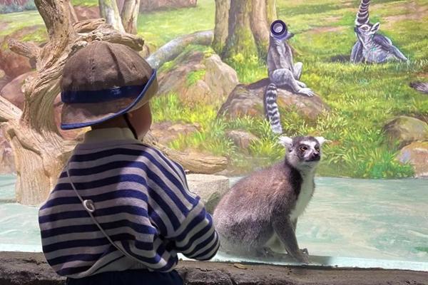 东湖魔兽城堡游玩日记1