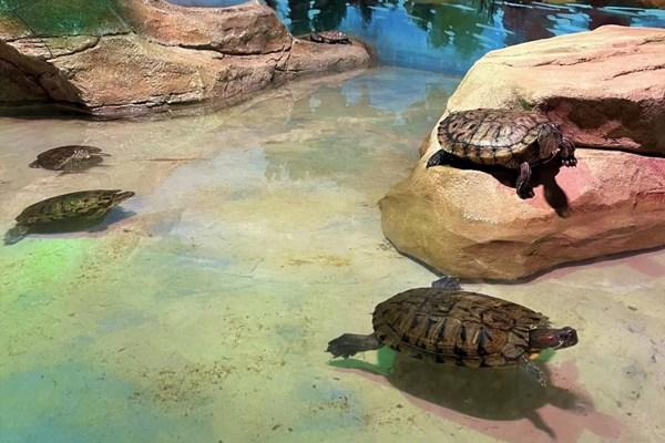 东湖魔兽城堡游玩日记2