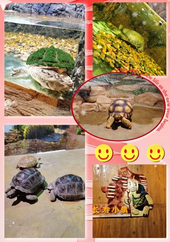 东湖魔兽城堡攻略 附路线图2