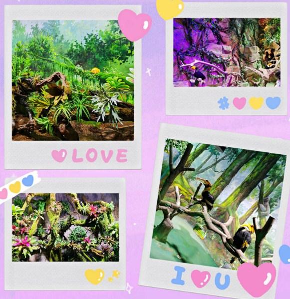 东湖魔兽城堡攻略 附路线图7