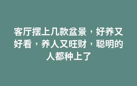 客厅摆上几款盆景,好养又好看,养人又旺财,聪明的人都种上了1