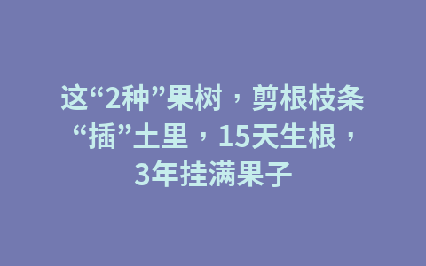 多数人都会犯的错,洗衣机的最佳摆放位置,其实就在这里1