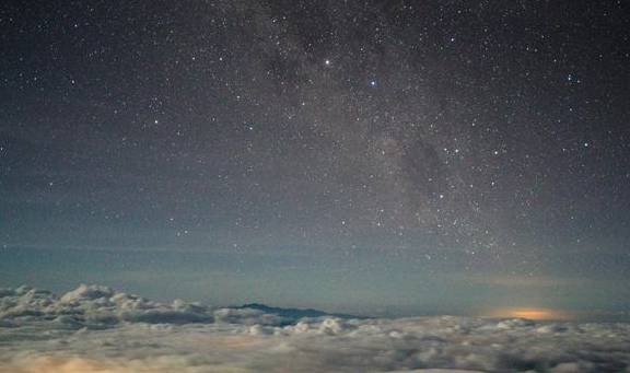 原创 原来京那巴鲁山还是个户外大型植物博物馆1