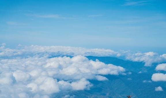 原创 原来京那巴鲁山还是个户外大型植物博物馆2
