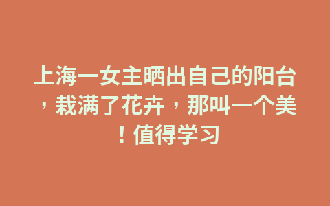 上海一女主晒出自己的阳台,栽满了花卉,那叫一个美!值得学习1