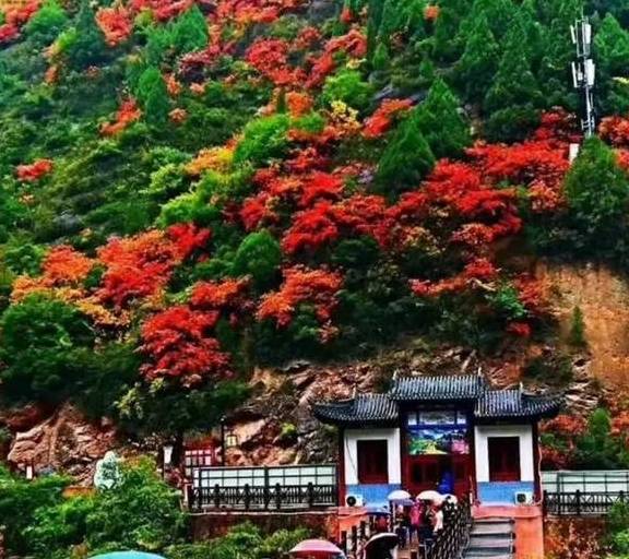 原创 逃离城市的雾霾天,到宝鸡凤县灵官峡景区“吸氧、洗肺”吧!6