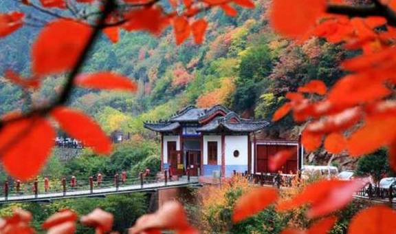 原创 逃离城市的雾霾天,到宝鸡凤县灵官峡景区“吸氧、洗肺”吧!11