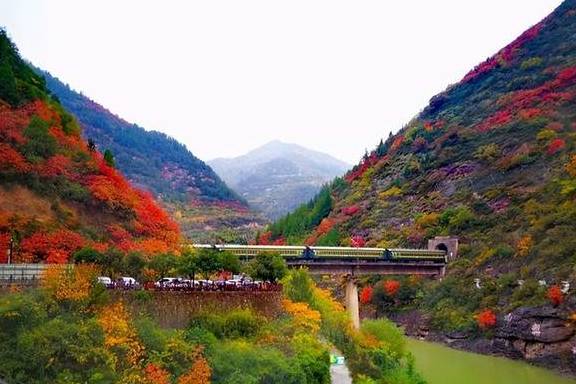 原创 逃离城市的雾霾天,到宝鸡凤县灵官峡景区“吸氧、洗肺”吧!13