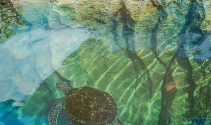 原创 三亚玩什么？这家网红打卡地不容错过，快来沉浸在不夜城的狂欢中7