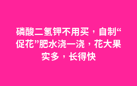 磷酸二氢钾不用买,自制“促花”肥水浇一浇,花大果实多,长得快1