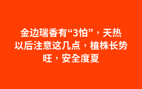 这些国货老牌拒绝成为时代的眼泪1